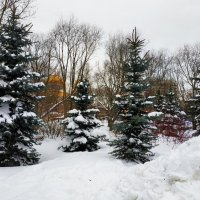 Так уходила зима. Неохотно :: Андрей Лукьянов