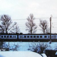 Мимо дома моего :: Людмила Смородинская