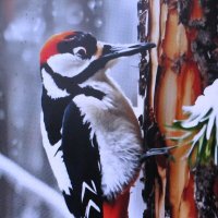 Трудяга :: Людмила Смородинская