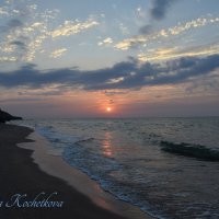Природа Крыма :: Amazing Cosmea