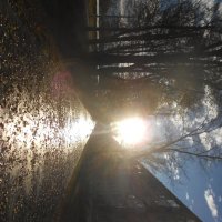 Ноябрьский вечер :: Елена Шаламова