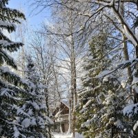 Зимняя сказка.... :: Сергей Клапишевский