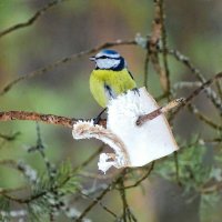 "Это всё моё!" :: Милешкин Владимир Алексеевич 