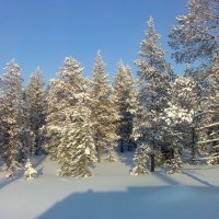 Зимние зарисовки ... :: Ravile 