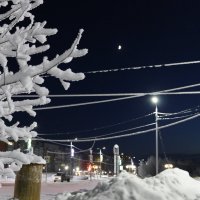 Паутина проводов :: Ольга 