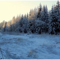 *** :: Aleksandr Gal