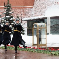 С днем защитника отечества! :: Игорь Шевченко