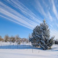 Сказка :: Анастасия Логинова