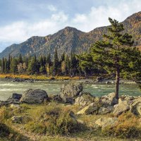 За Куюсом-2 :: елена беликова