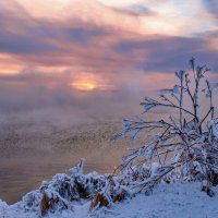 *** :: Алексей Мезенцев *** :: Алексей Мезенцев