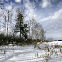 На прогулке :: Oleg S На прогулке :: Oleg S