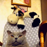 Британец Масик :: Лютый Дровосек