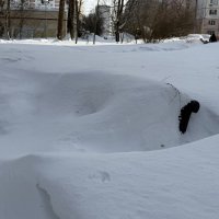 Зимняя скамейка) :: Любовь 