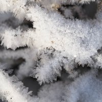 Изморозь (продолжение) :: Мария К.