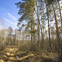 ... :: Валерий 