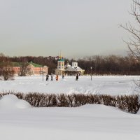 Парк "Кусково". Февраль. :: Борис Калитенко