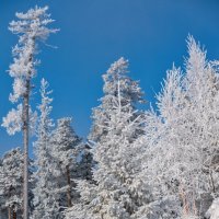 ****** :: Вячеслав Овчинников ****** :: Вячеслав Овчинников