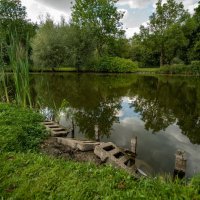 В конце лета... :: Николай Гирш