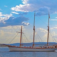 Белобока и красива , словно лебедь белая... :: В.И 