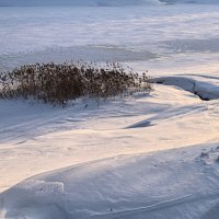 *** :: Olga Oskolkova