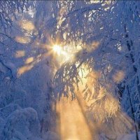 Луч февраля... :: Валерий Кокорев