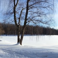 С мыслями уже о весне :: Андрей Лукьянов