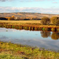 Прекрасна ты,осенняя пора. :: nadyasilyuk Вознюк