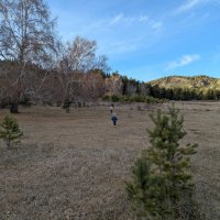 Идут юные туристы :: Андрей Хлопонин