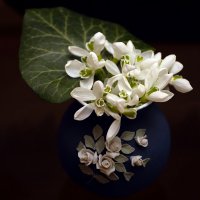 Подснежники :: Леонид 