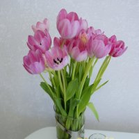 23 февраля. :: Сергей Запорожцев 23 февраля. :: Сергей Запорожцев