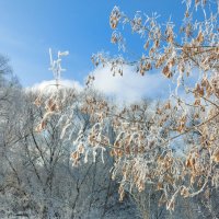 *** :: Владимир Безбородов