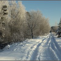 Дорога зимняя :: Aleksandr Gal