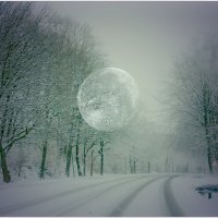 ЛУНА... :: Elvira E. ЛУНА... :: Elvira E.