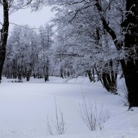 Заснеженный парк :: Рита Симонова