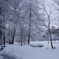 Заснеженный парк :: Рита Симонова Заснеженный парк :: Рита Симонова
