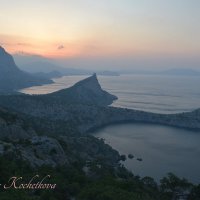 Природа Крыма :: Amazing Cosmea