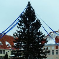 Ко Дню независимости Эстонии :: Aida10 