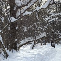 В парке :: Freddy 97