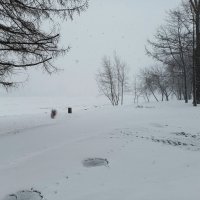 ЗИМНЕЕ :: Виктор Никитенко