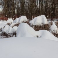 Парк "Кусково". Февраль. :: Борис Калитенко