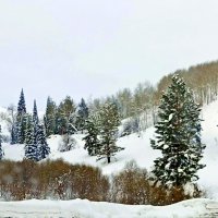 Незабываемые красоты ВКО . Метель . :: Мила Бовкун