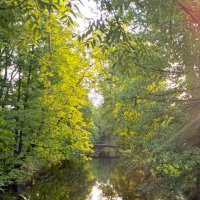 . :: Дмитрий Шароватов