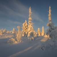 На сопке :: Анатолий Гордиенко