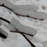 Во льду :: светлана льдокова