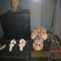 Когда-то он был красивым и живописным первобытным человеком... :: unix (Илья Утропов)