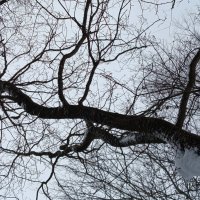 О сложностях жизни :: Андрей Лукьянов О сложностях жизни :: Андрей Лукьянов