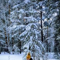 В снегах Каркаралов :: Андрей Хлопонин