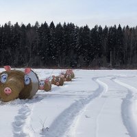 Семейство кабанчиков. :: Ольга 