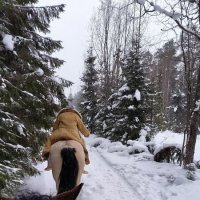 Прогулка. :: Ольга 