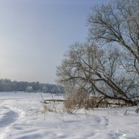 По тропинке на тот берег. :: Михаил "Skipper"